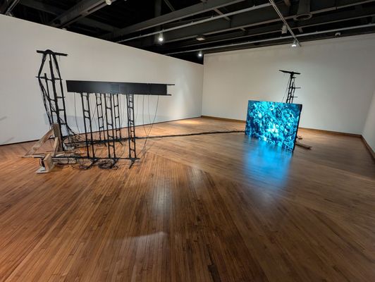 Museum of Latin American Art (MOLAA) by null