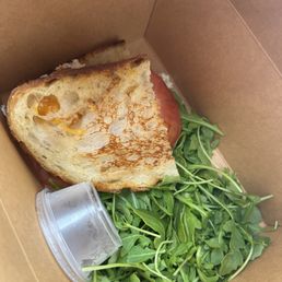 Tuna melt