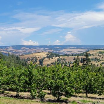 Rosedale Fruit Farm U Pick - Pick Your Own Farms Near Me - Mosier, Oregon