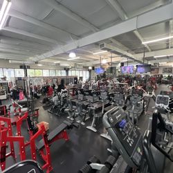 Kissimmee Muscle