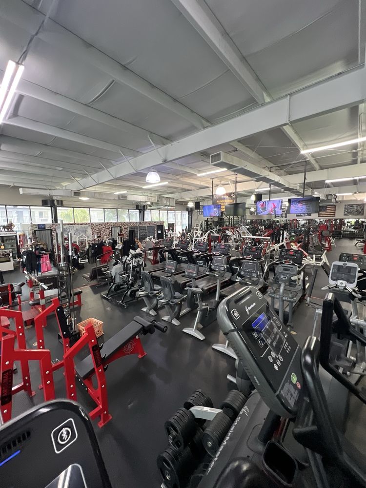 Kissimmee Muscle Image