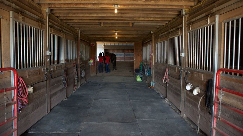 Kane Horsemanship - equestrian in Bentleyville, PA