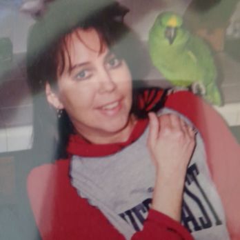 Royal Bird Company - I'm Cathy & had bought this beautiful yellowtop Amazon parrot after losing my young daughter, he made me Happy - Bird Shops Near Me - Lincolnton, North Carolina Royal Bird Company - I'm Cathy & had bought this beautiful yellowtop Amazon parrot after losing my young daughter, he made me Happy - Bird Shops Near Me - Lincolnton, North Carolina