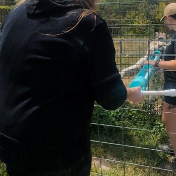 National Tiger Sanctuary - We really loved being a part of their feeding! - Community Service/Non-Profit Near Me - Saddlebrooke, Missouri