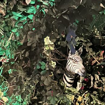 Rainforest Cafe - American Near Me - Gurnee, Illinois Rainforest Cafe - American Near Me - Gurnee, Illinois