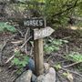 Photo of Sly Park Recreation Area