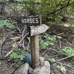 Sly Park Recreation Area - Don't take the Horses trail - it's crazy steep and rutted in places.