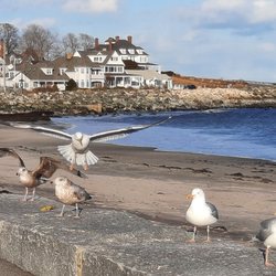 North Hampton State Beach - Local residents