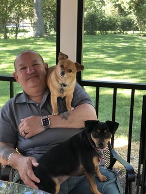 Almost Home Foundation 26 Photos 48 Reviews Animal Shelters 1800 E Irving Park Rd Schaumburg Il Phone Number