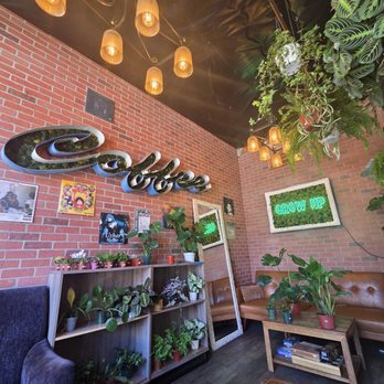 Quiet Storm Roasters - Coffee & Tea Near Me - San Diego, California Quiet Storm Roasters - Coffee & Tea Near Me - San Diego, California