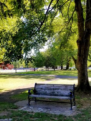 Grant Park by null