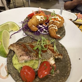 Holbox - Latin American Near Me - Los Angeles, California Holbox - Latin American Near Me - Los Angeles, California