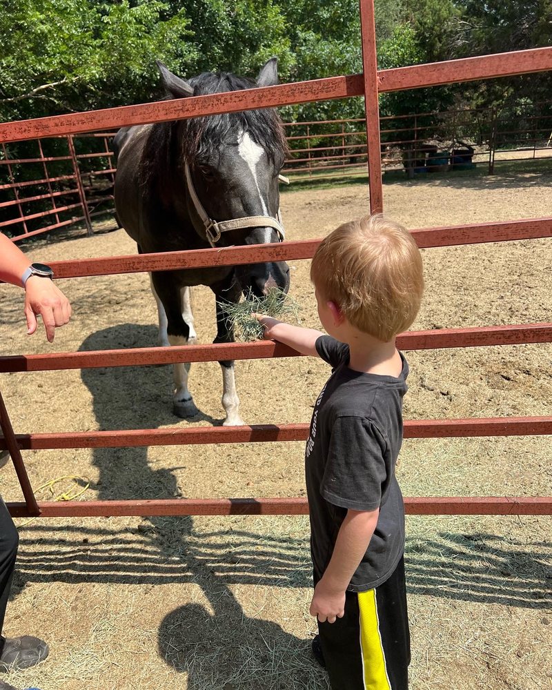 BLESSINGS RANCH OF CENTRAL TEXAS Updated September 2024 3800