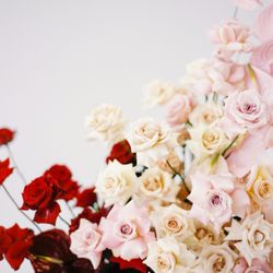 Larkin Floral
