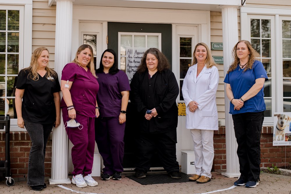 BETHEL VILLAGE SQUARE ANIMAL HOSPITAL Updated September 2024 10