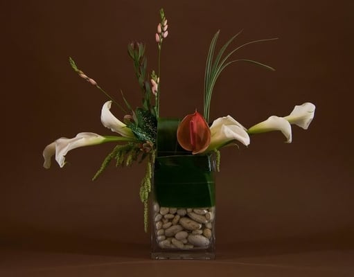 IXIA by null