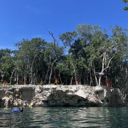 Cenote Tortuga - Cenote turtuga