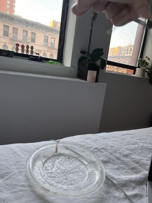 Pasta Corner 53rd by null