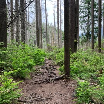 Kennedy Falls - June 14, 2025. - Hiking Near Me - North Vancouver, British Columbia