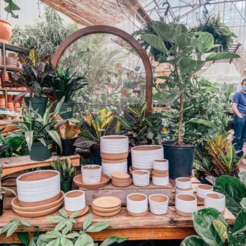 Maypop Coffee & Garden Shop - Coffee & Tea Near Me - Webster Groves, Missouri