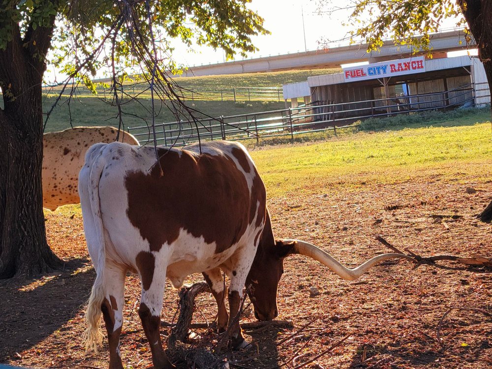 TESLA SUPERCHARGER 801 S Riverfront Blvd, Dallas, TX Yelp