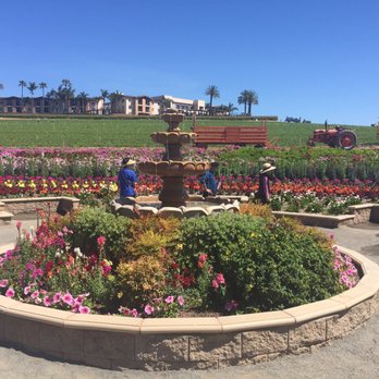 The Flower Fields - Fountain - Venues & Event Spaces Near Me - Carlsbad, California The Flower Fields - Fountain - Venues & Event Spaces Near Me - Carlsbad, California