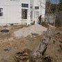 Photo of Bruce Lawn Service