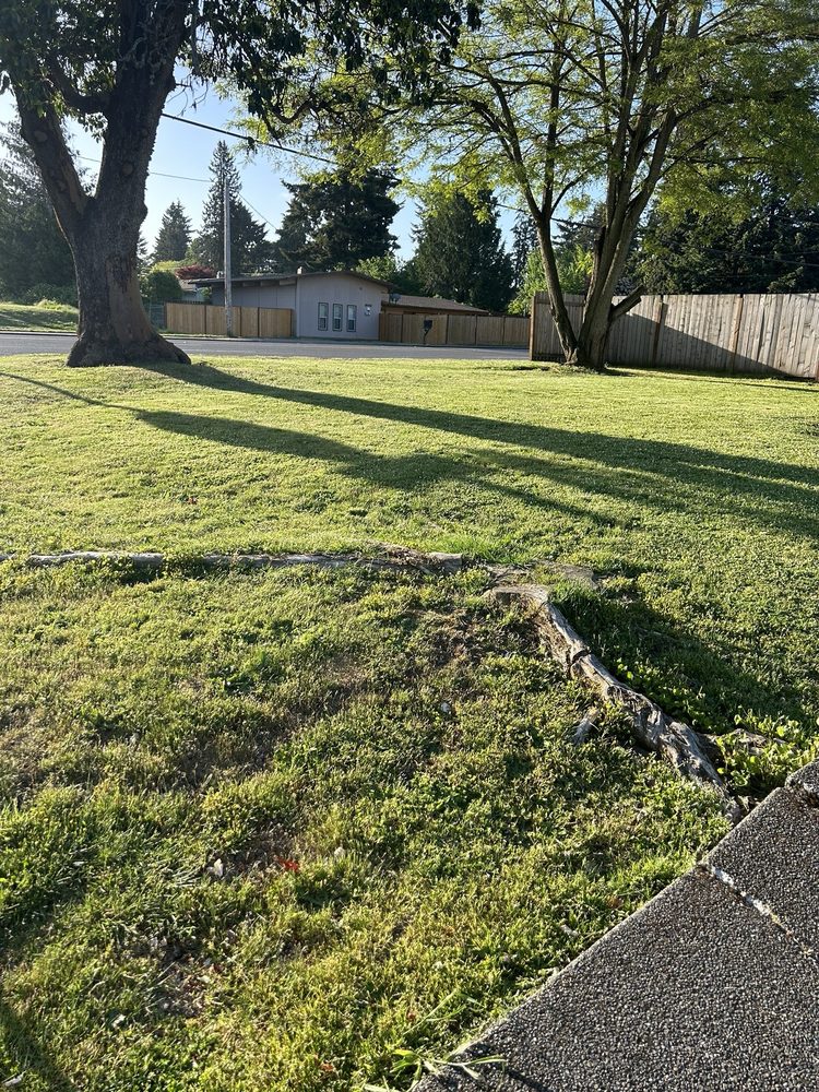 Five Star Tree Service - tree service in Tacoma, WA