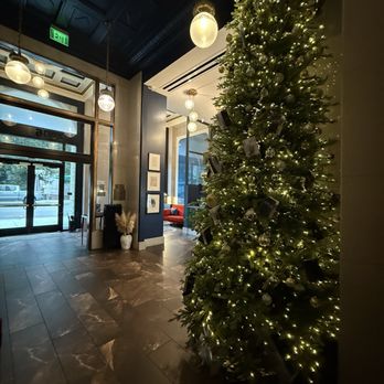 Willow - Italian Near Me - Sacramento, California Willow - Italian Near Me - Sacramento, California