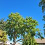 Photo of PJ Landscaping & Design