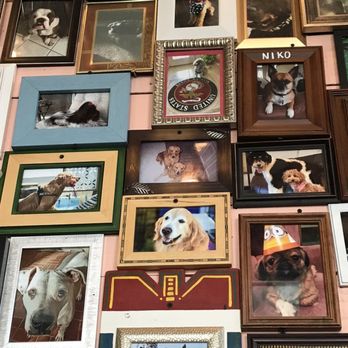 Chuy's - More pictures of dogs - Tex-Mex Near Me - Lutz, Florida