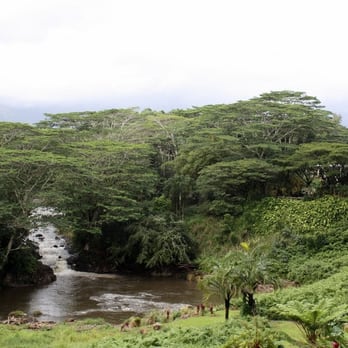Himalayan Academy / Kauai's Hindu Monastery - Waimea River with Iraivan Temple beyond. - Landmarks & Historical Buildings Near Me - Kapaa, Hawaii
