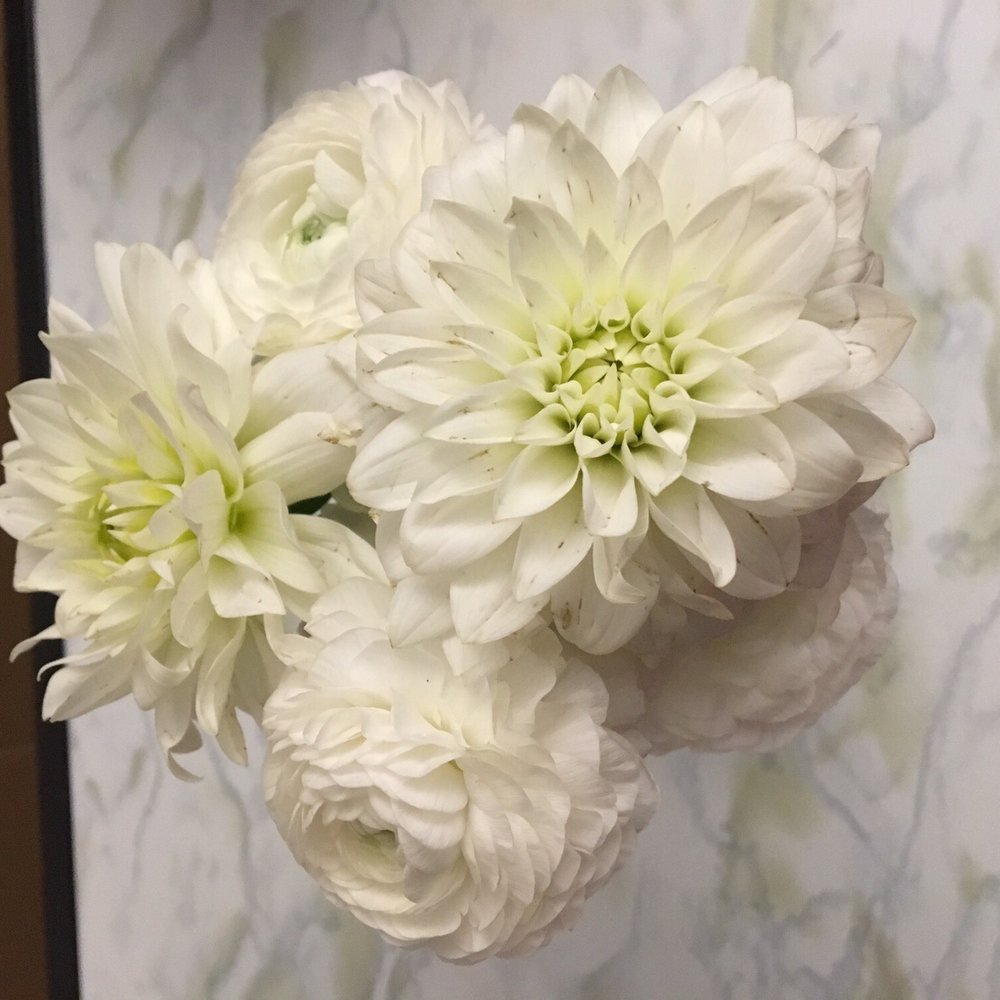 Fifty Flowers - Dahlia and ranunculus combo pack, the day after the wedding. Gorgeous! - Floral Designers Near Me Fifty Flowers - Dahlia and ranunculus combo pack, the day after the wedding. Gorgeous! - Floral Designers Near Me