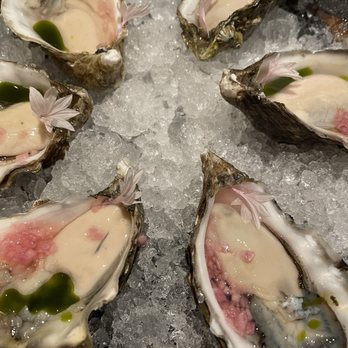Mucca Osteria - Oysters (add on to pre fixe menu) - Italian Near Me - Portland, Oregon Mucca Osteria - Oysters (add on to pre fixe menu) - Italian Near Me - Portland, Oregon