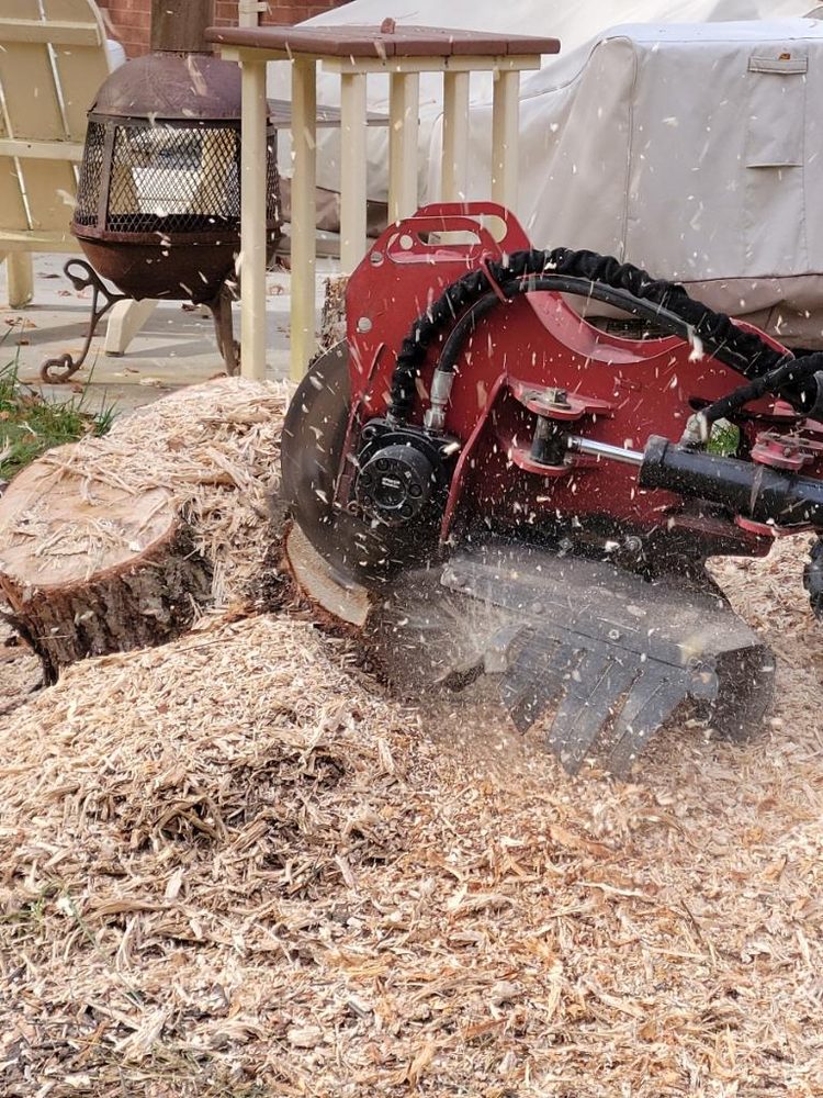 Optimal Services - tree service in Cincinnati, OH