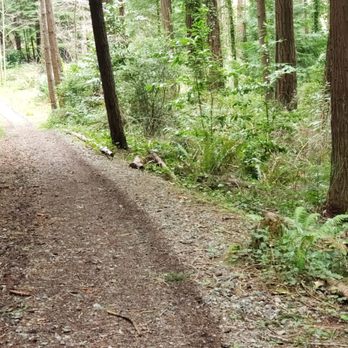 Choshi Gardens - Follow disc golf trail for a longer stroll - Parks Near Me - Coos Bay, Oregon Choshi Gardens - Follow disc golf trail for a longer stroll - Parks Near Me - Coos Bay, Oregon
