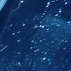 Jake Sweeney Used Car Superstore - The cigarette ashes left in car.