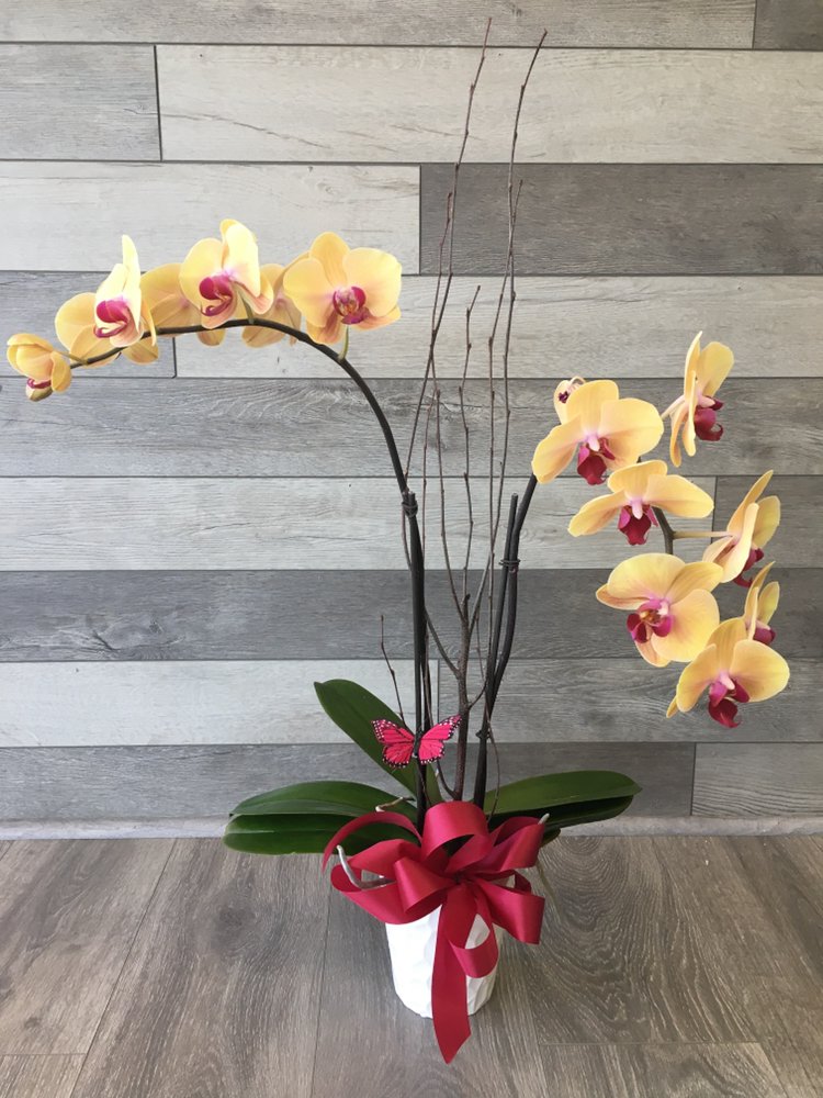 ALVARADO’S FLOWER SHOP Updated October 2024 42 Photos 12557 San