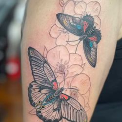The Aviary Tattoo Shop