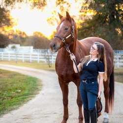 White Fences Equestrian Center - White Fences Dressage Lessons near Austin Texas