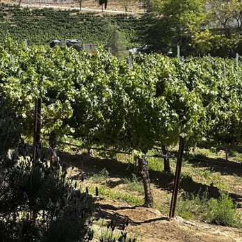 Leoness Cellars - Venues & Event Spaces Near Me - Temecula, California Leoness Cellars - Venues & Event Spaces Near Me - Temecula, California