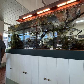 Clark's Oyster Bar - Fish tank inside - Desserts Near Me - Menlo Park, California Clark's Oyster Bar - Fish tank inside - Desserts Near Me - Menlo Park, California