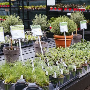 Gethsemane Garden Center - The herbs & vegetables yard is open during the spring & summer. Come over and say "hi!". - Nurseries & Gardening Near Me - Chicago, Illinois Gethsemane Garden Center - The herbs & vegetables yard is open during the spring & summer. Come over and say "hi!". - Nurseries & Gardening Near Me - Chicago, Illinois