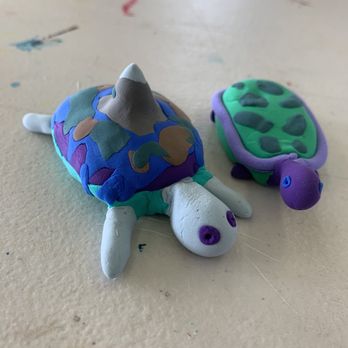 Camp Ocean Pines - Turtle Turtle - Summer Camps Near Me - Cambria, California