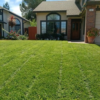 Zaharis Landscaping - Weeds removed from lawn - Lawn Services Near Me - Arden, California Zaharis Landscaping - Weeds removed from lawn - Lawn Services Near Me - Arden, California