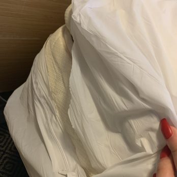 The Landon Hotel Miami - Broken Mattress Protector - Hotels Near Me - Bay Harbor Islands, Florida