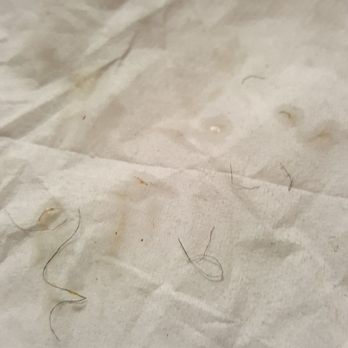 Johnny Carino's - The metal wires I found in my food. - Italian Near Me - Modesto, California