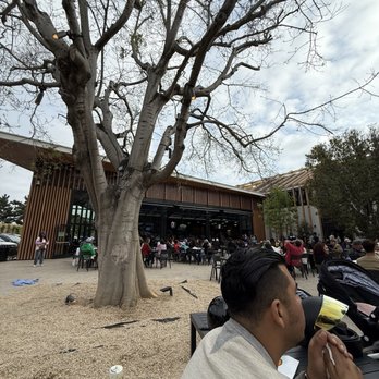 Rodeo 72 - Food Court Near Me - Whittier, California