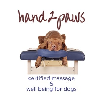 Hand2Paws - certified small animal massage therapist - Holistic Animal Care Near Me Hand2Paws - certified small animal massage therapist - Holistic Animal Care Near Me