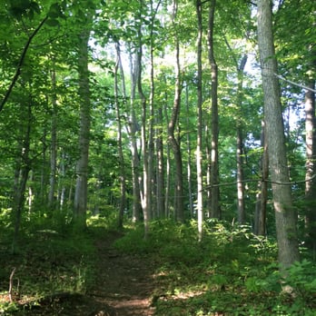 California Woods - Lovely woods to lose yourself for a while. - Hiking Near Me - Cincinnati, Ohio
